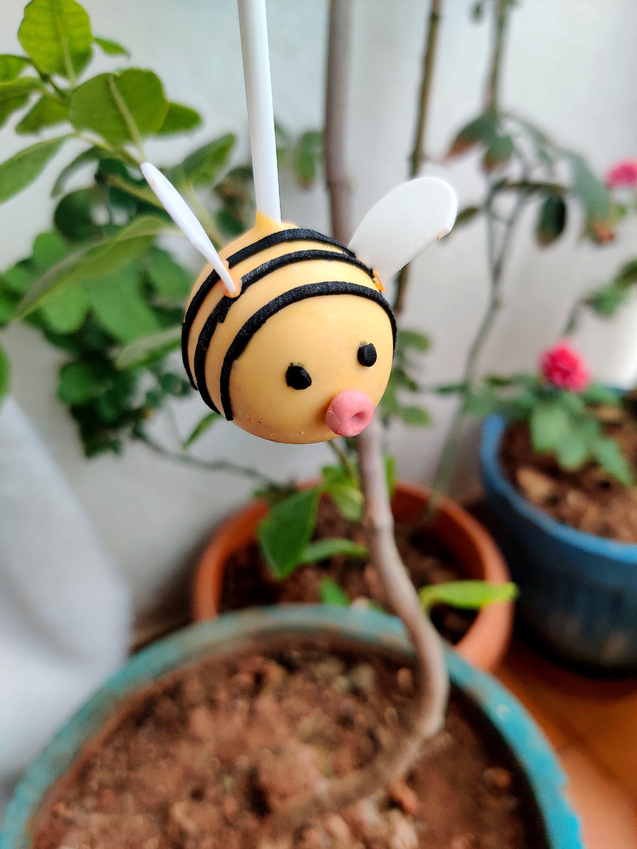 Jungle Animal Theme Cake Pops