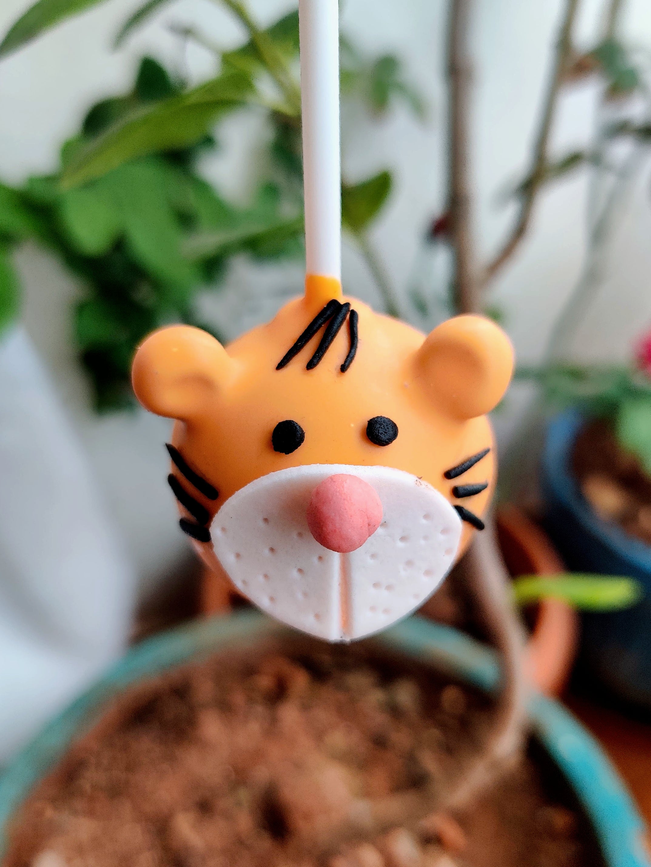 Jungle Animal Theme Cake Pops