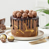 Hazelnut Fantasy Chocolate Cake